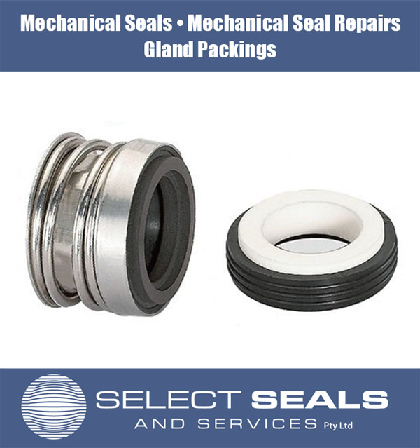 AstralPool Mechanical Seal