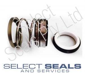 ABS Pump Mechanical Seals