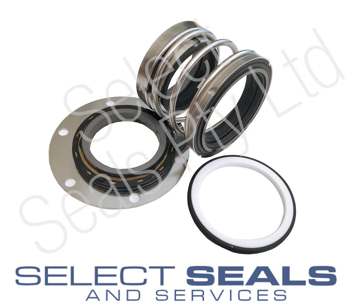 EBARA 100 ESH 57.5 Pump Seal