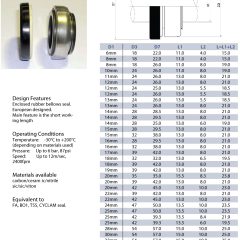 Burgmann BT Seal