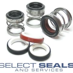 AES P03 43 MM Mechanical Shaft Seal - Carbon vs Ceramic