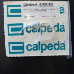 Calpeda Pump Seal
