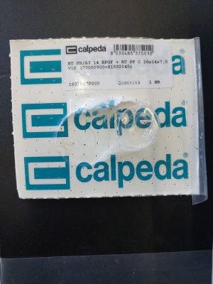 Calpeda Pump Seal
