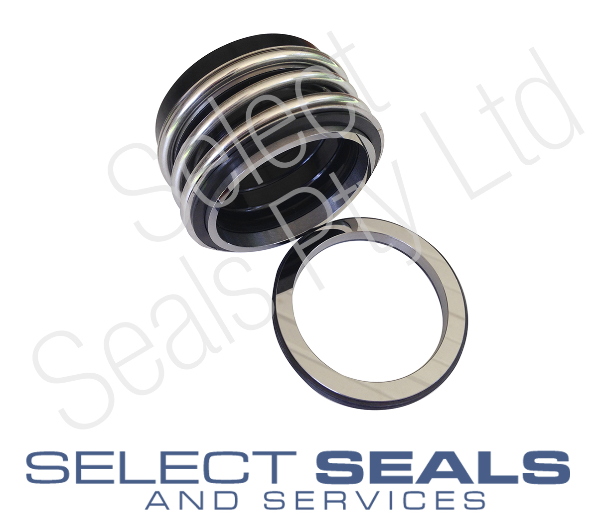 Davey HM90 -13 pump seal